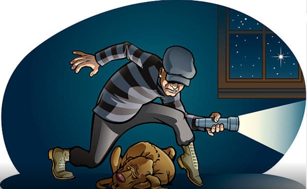 The Dream Detective Blog: HOME INVASION DREAMS
