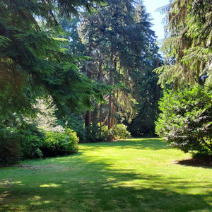 The Art of Authentic Living: A Day Retreat with don Miguel Ruiz Jr. & don Jose Ruiz - Sunday - August 9th, 2026 - 9-3 PM PT - In-Lake Stevens