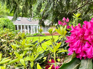 The Art of Authentic Living: A Day Retreat with don Miguel Ruiz Jr. & don Jose Ruiz - Sunday - August 9th, 2026 - 9-3 PM PT - In-Lake Stevens